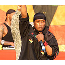 Professor Griff, Cultural Entertainment Analyst